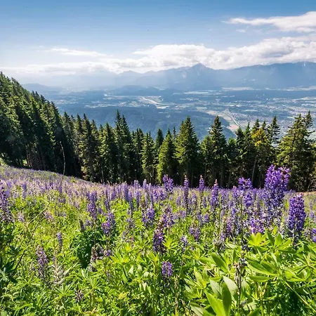 דירה Mooki Mountain & Pool Gerlitzen *