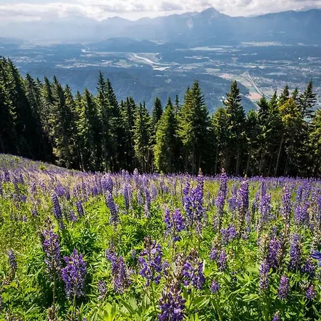 Mooki Mountain & Pool Gerlitzen Kanzelhohe