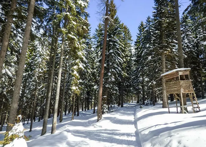 Mooki Mountain & Pool Gerlitzen *