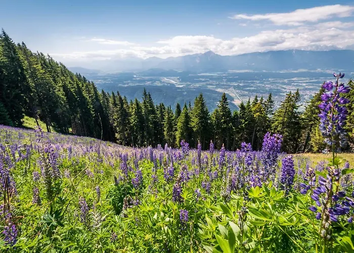 Apartament Mooki Mountain & Pool Gerlitzen *