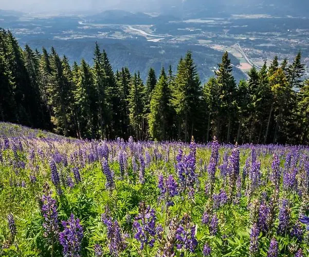 Mooki Mountain & Pool Gerlitzen Kanzelhohe