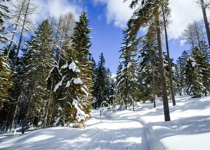 דירה Mooki Mountain & Pool Gerlitzen *